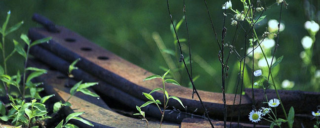 colectare deseuri electronice